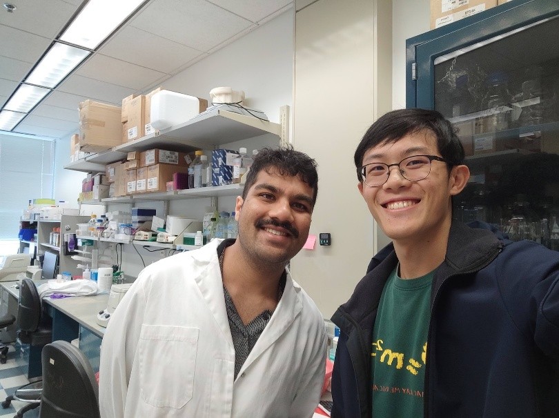 認識友好的印度實驗室鄰居Rogouph