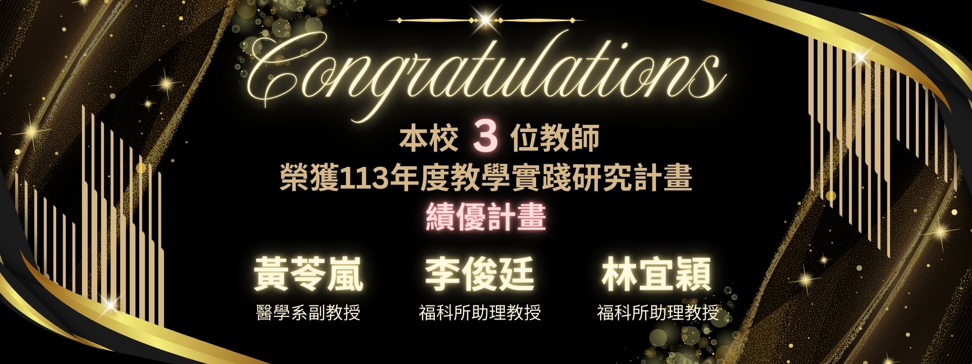 113年度績優計畫